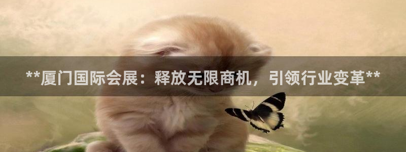 果博平台客服电话：**厦门国际会展：释放无限商机，引领行业变革**