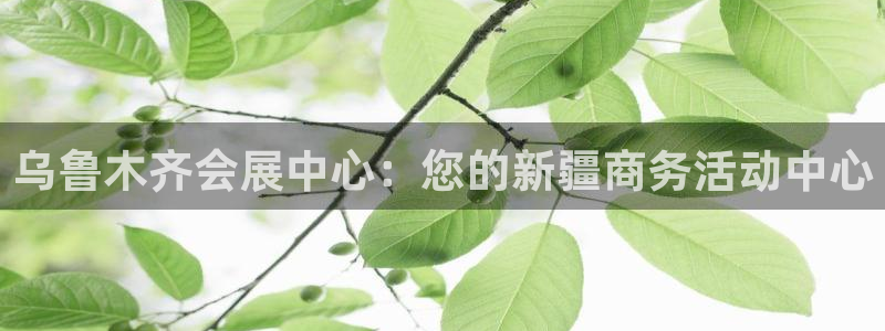 果博平台赖不赖：乌鲁木齐会展中心：您的新疆商务活动中心