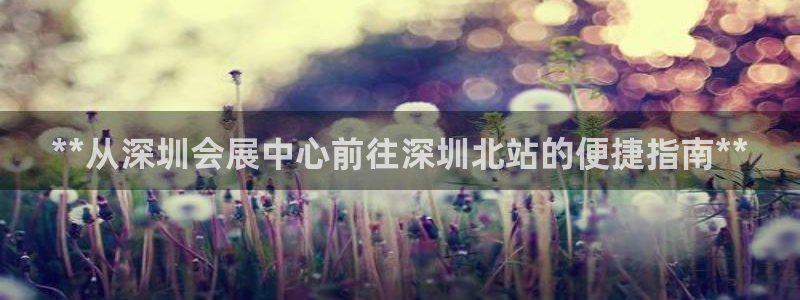 果博平台开户电话是多少：**从深圳会展中心前往深圳北站的便捷指南**