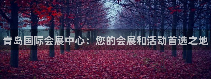 果博平台客服：青岛国际会展中心：您的会展和活动首选之地
