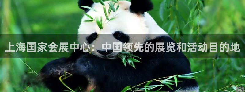 苹果电脑怎么下载博弈大师等软件：上海国家会展中心：中国领先的展览和活动目的地