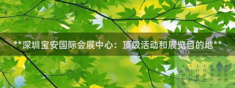 果博怎么注册账号和密码：**深圳宝安国际会展中心：顶级活动和展览目的地**