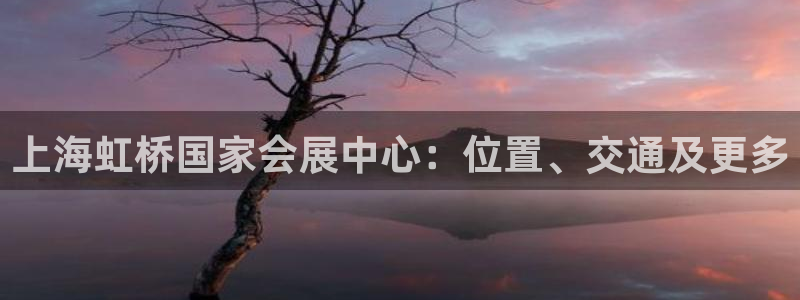 果博公司电话：上海虹桥国家会展中心：位置、交通及更多