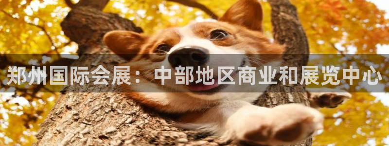 下载果博：郑州国际会展：中部地区商业和展览中心