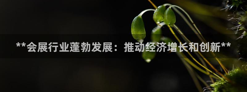 果博平台电话