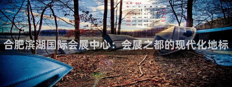 下载果博博东方：合肥滨湖国际会展中心：会展之都的现代化地标