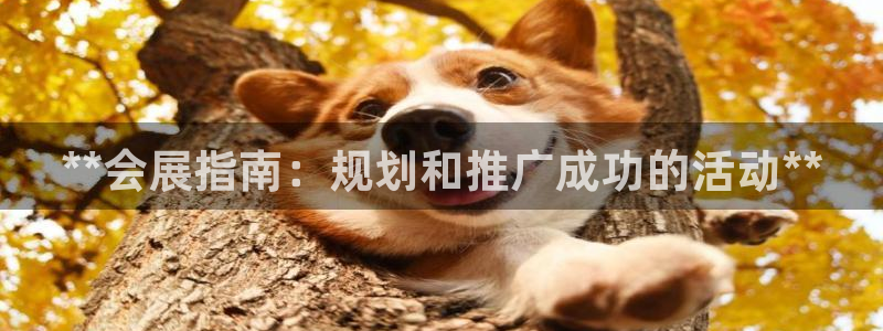 果博官网在银博：**会展指南：规划和推广成功的活动**