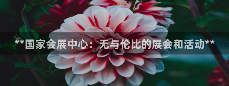 苹果电脑怎么下载博弈大师等软件：**国家会展中心：无与伦比的展会和活动**