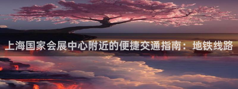 苹果电脑可以下载博易大师吗：上海国家会展中心附近的便捷交通指南：地铁线路