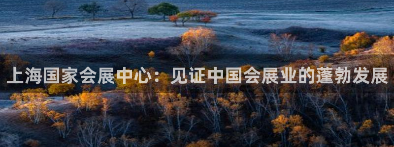 果博公司怎么注册会员：上海国家会展中心：见证中国会展业的蓬勃发展