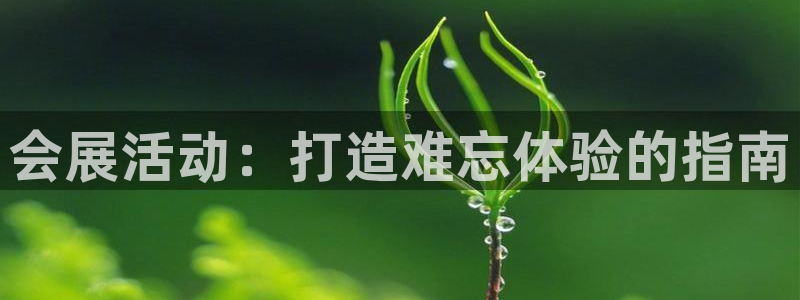 果博公司会员注册：会展活动：打造难忘体验的指南