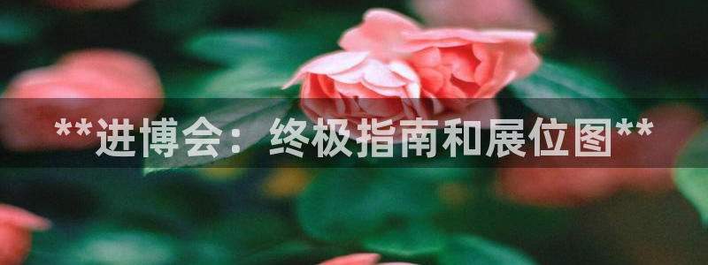 果博注册会员怎么注销：**进博会：终极指南和展位图**