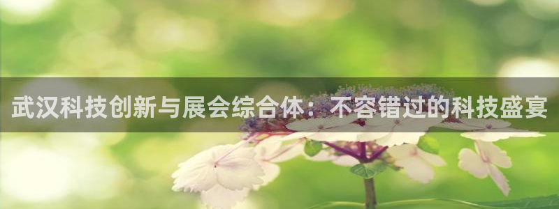 果博官方热线：武汉科技创新与展会综合体：