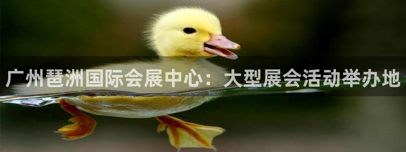 果博公司怎么注册会员：广州琶洲国际会展中心：大型展会活动举办地