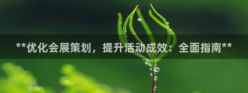 果博手机下载网址：**优化会展策划，提升活动成效：全面指南**