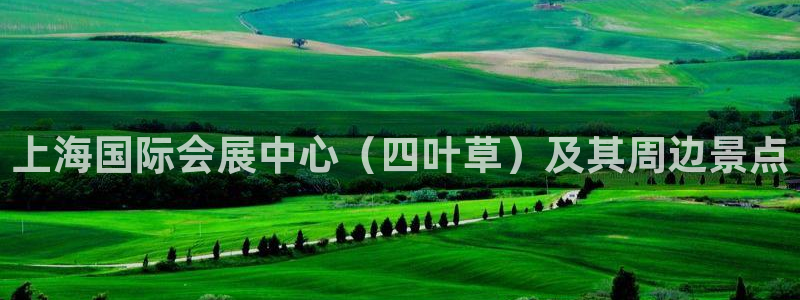 果博公司会员注册：上海国际会展中心（四叶草）及其周边景点