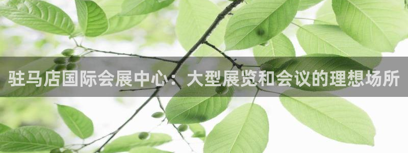 果博公司客服微信怎么加：驻马店国际会展中心：大型展览和会议的理想场所