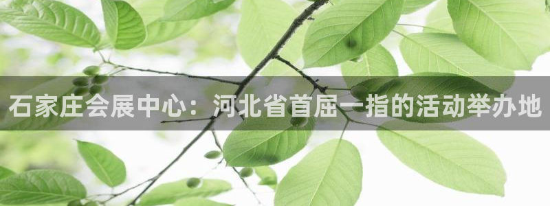 下载果博：石家庄会展中心：河北省首屈一指的活动举办地