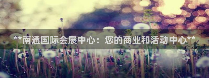 果搏代理：**南通国际会展中心：您的商业和活动中心**