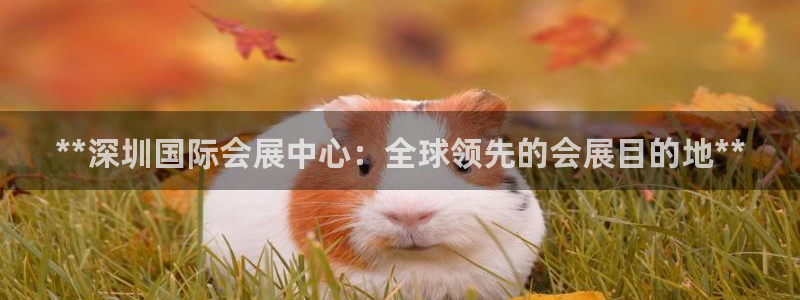 果博有假吗：**深圳国际会展中心：全球领先的会展目的地**