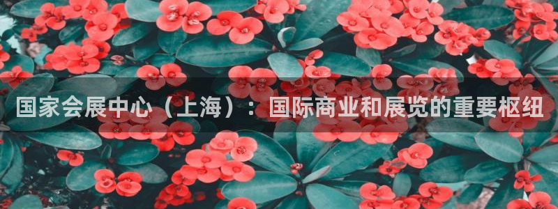 果博代理电话多少号码：国家会展中心（上海）：国际商业和展览的重要枢纽
