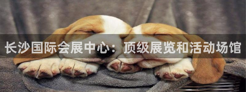 果博注册客服电话是多少号码：长沙国际会展