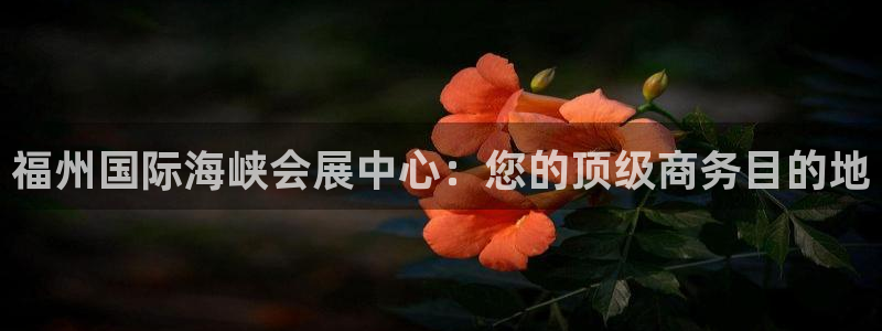 苹果电脑可以下载博易大师吗：福州国际海峡会展中心：您的顶级商务目的地