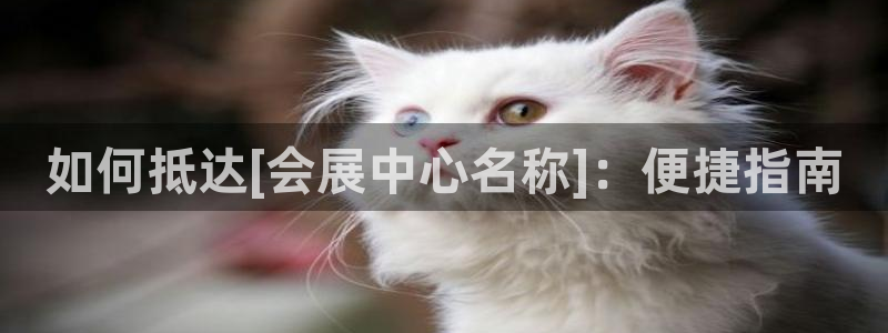 果博app官网下载：如何抵达[会展中心名称]：便捷指南