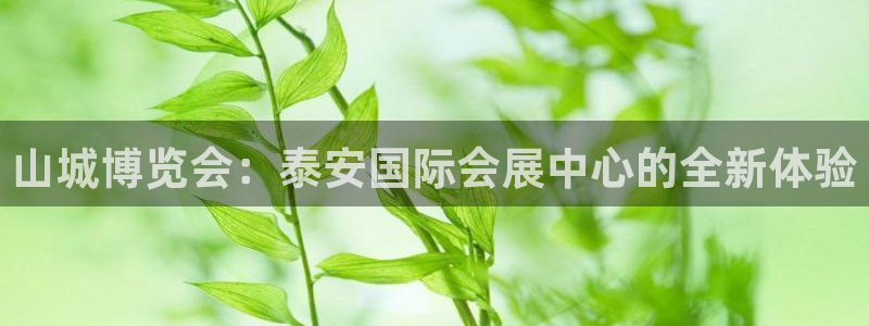 果博平台真实吗安全吗：山城博览会：泰安国际会展中心的全新体验