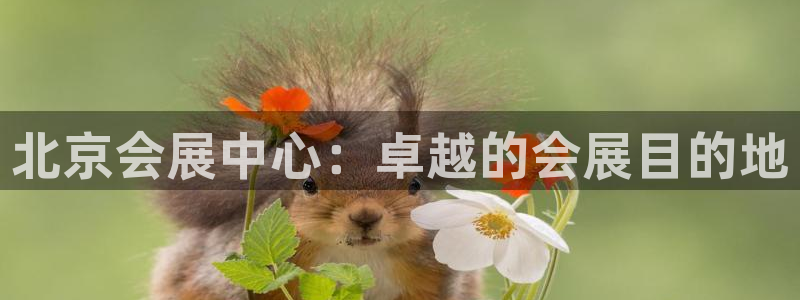 果博平台真实吗安全吗可信吗：北京会展中心：卓越的会展目的地