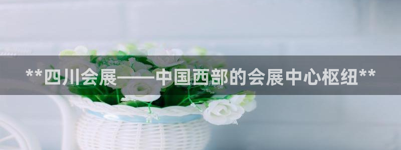 果搏代理：**四川会展——中国西部的会展