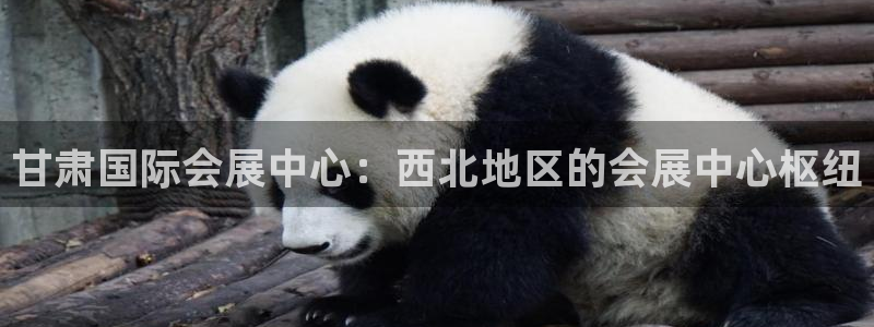 果博注册客服电话号码查询：甘肃国际会展中心：西北地区的会展中心枢纽