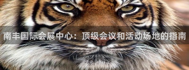 果博注册会员：南丰国际会展中心：顶级会议和活动场地的指南