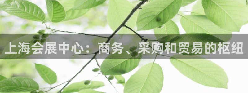 果博平台真实吗安全吗可靠吗：上海会展中心：商务、采购和贸易的枢纽