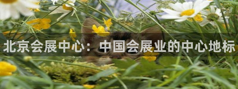 果博公司：北京会展中心：中国会展业的中心地标