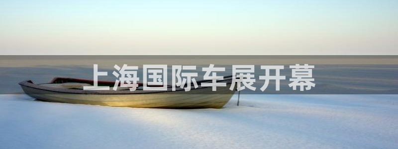 果博平台真实吗安全吗是真的吗：上海国际车展开幕