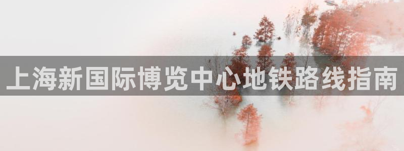 苹果电脑怎么下载博弈大师等软件：上海新国际博览中心地铁路线指南