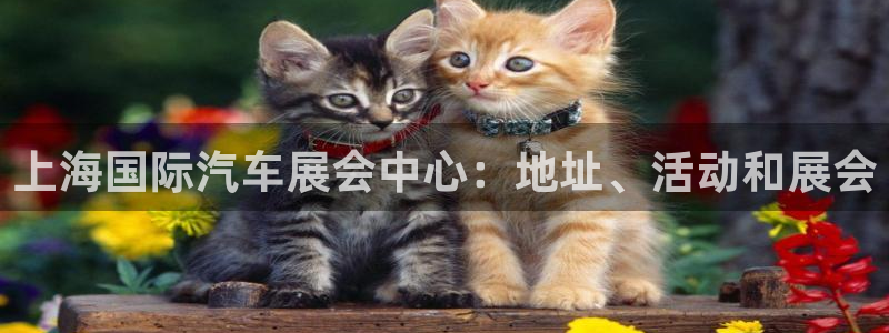 果博官网电话：上海国际汽车展会中心：地址、活动和展会
