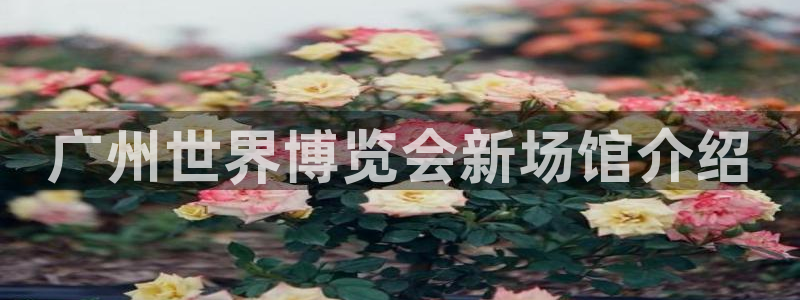 果博平台真实吗知乎怎么样：广州世界博览会新场馆介绍