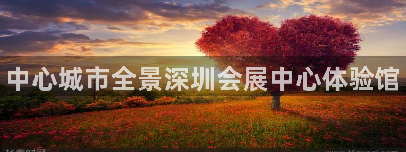 果博注册平台：中心城市全景深圳会展中心体