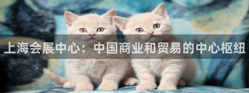 果博公司在线客服：上海会展中心：中国商业和贸易的中心枢纽