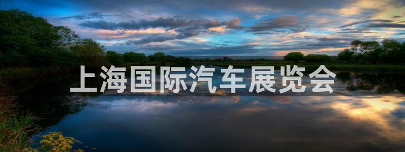 果博平台开户电话：上海国际汽车展览会