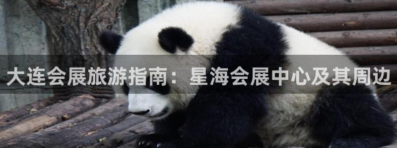 果博注册客服电话是多少号：大连会展旅游指南：星海会展中心及其周边
