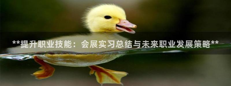 果博怎么注册账号：**提升职业技能：会展实习总结与未来职业发展策略**
