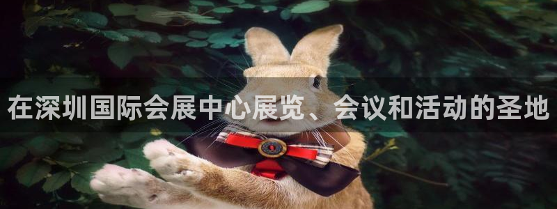果博注册：在深圳国际会展中心展览、会议和活动的圣地