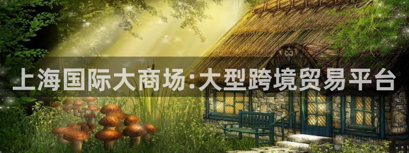 果博注册客服电话是多少号：上海国际大商场:大型跨境贸易平台