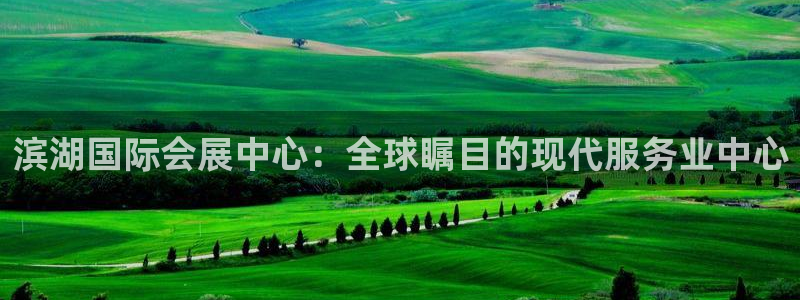 果博公司在线客服：滨湖国际会展中心：全球瞩目的现代服务业中心