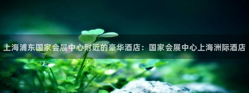 果博官网客服电话号码查询：上海浦东国家会展中心附近的豪华酒店：国家会展中心上海洲际酒店