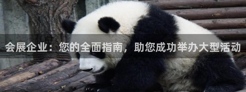 果博平台开户电话：会展企业：您的全面指南，助您成功举办大型活动