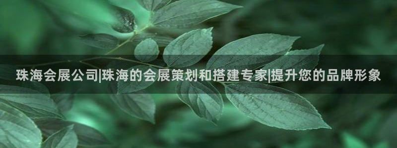 手机怎样下载果博